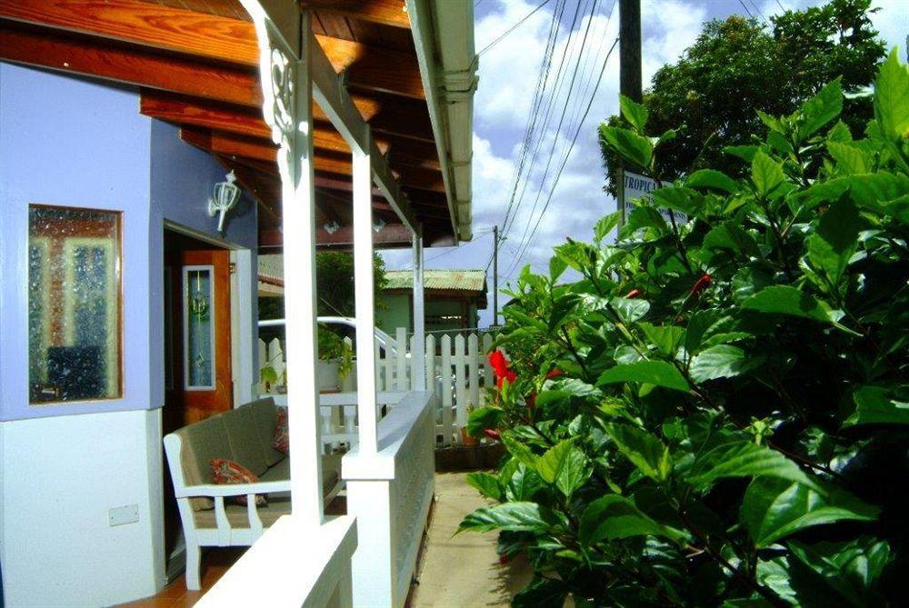 Tropical Breeze Vacation Home And Apartments Gros Islet Kültér fotó