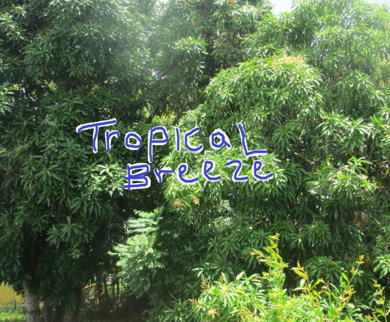 Tropical Breeze Vacation Home And Apartments Gros Islet Kültér fotó